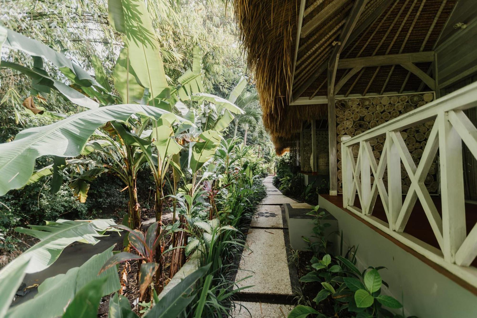 Maylie Bali Villa & Bungalows Canggu Exteriör bild